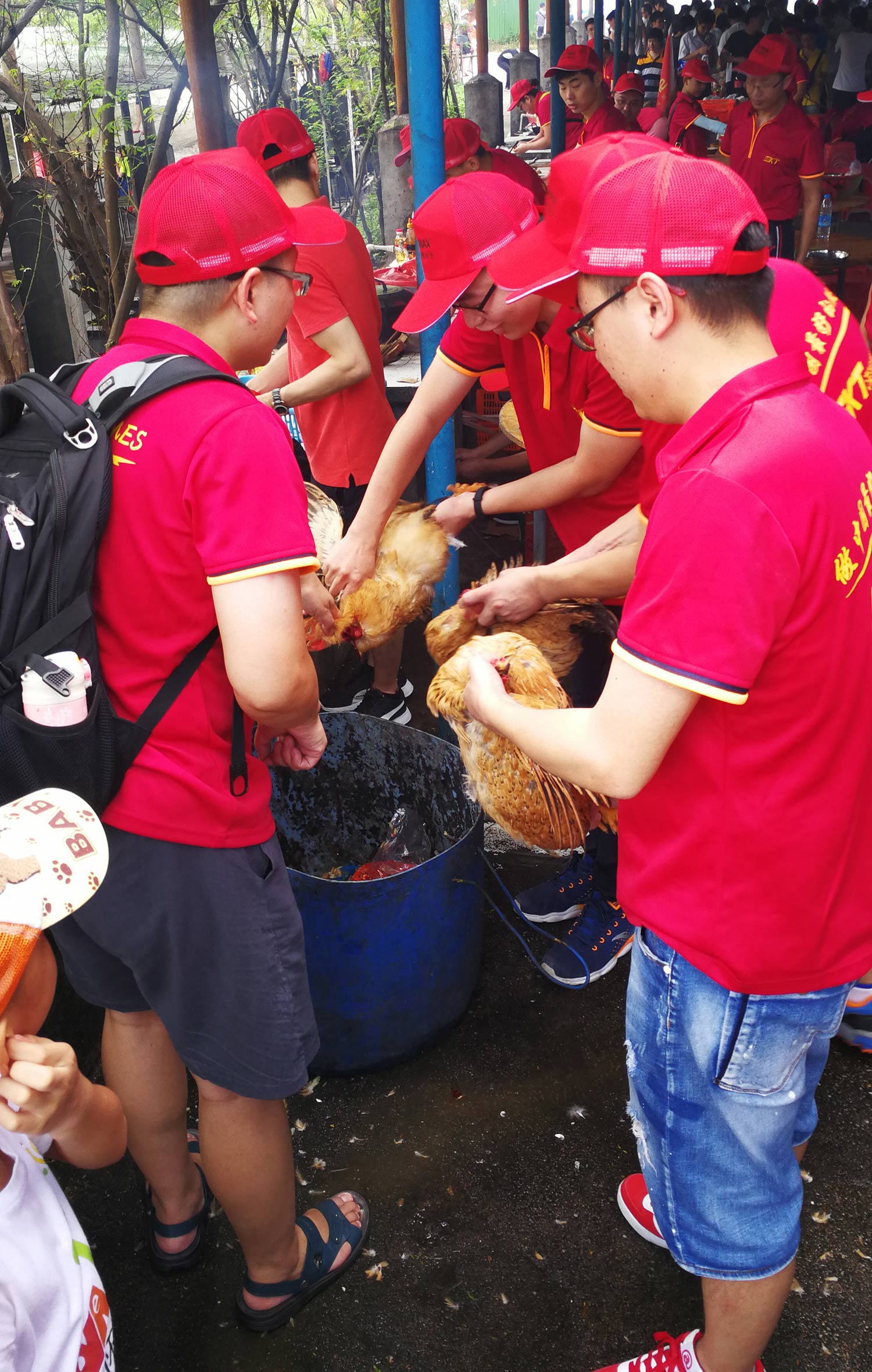 97����-����Ʒ��,Դ������