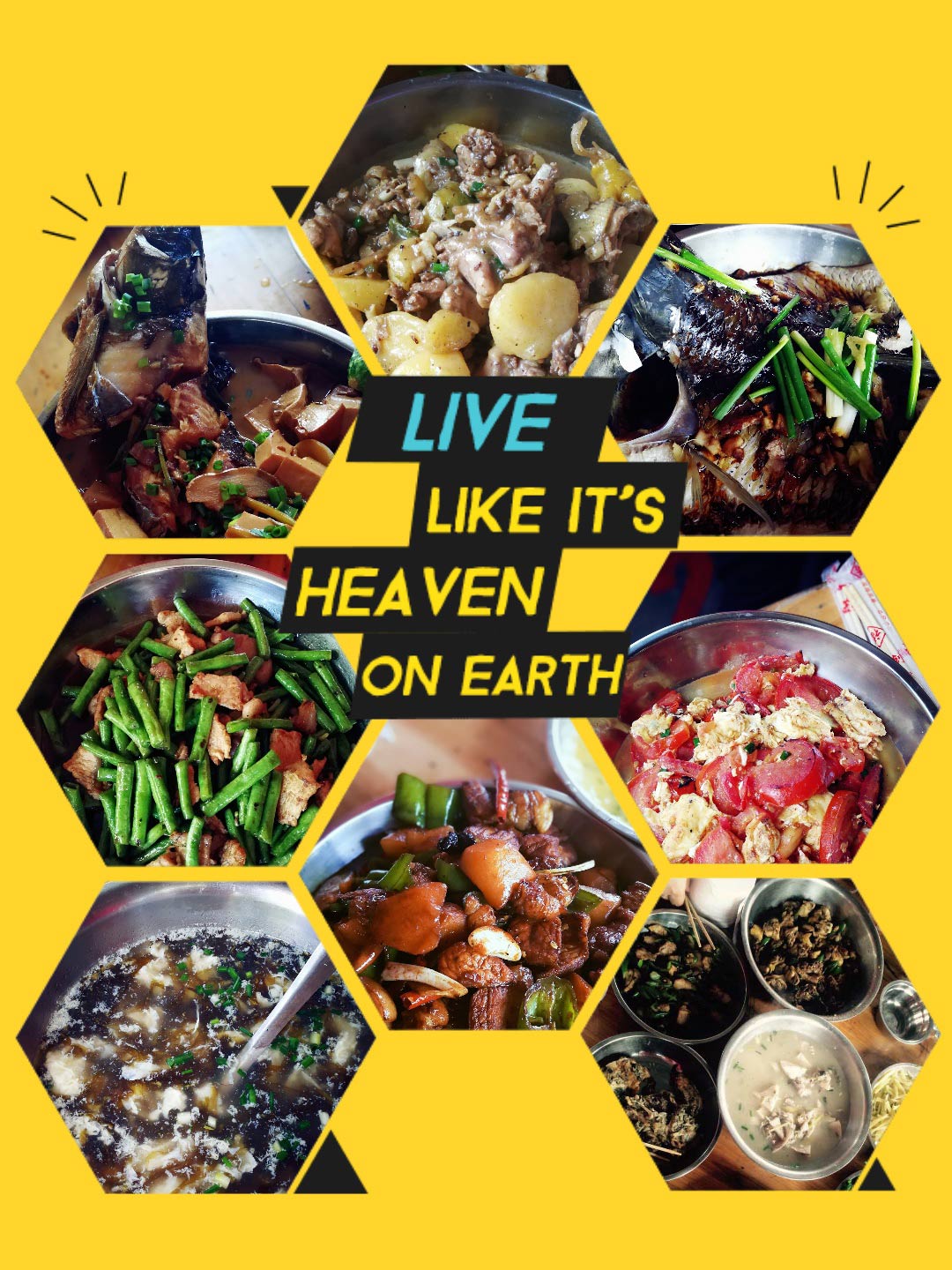 97����-����Ʒ��,Դ������